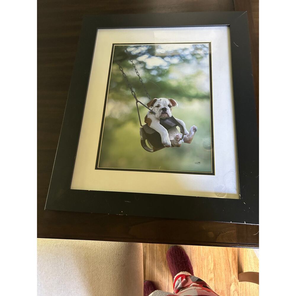 Dog on Swing by Ron Schmidt